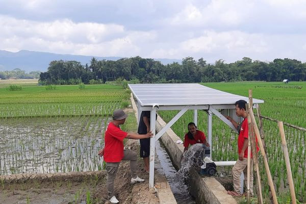 Menabur Energi Matahari, Menuai Bulir Padi